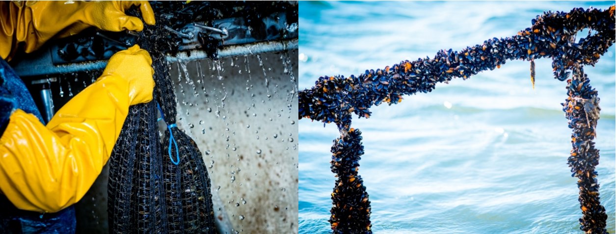 Work with partners and local organisations